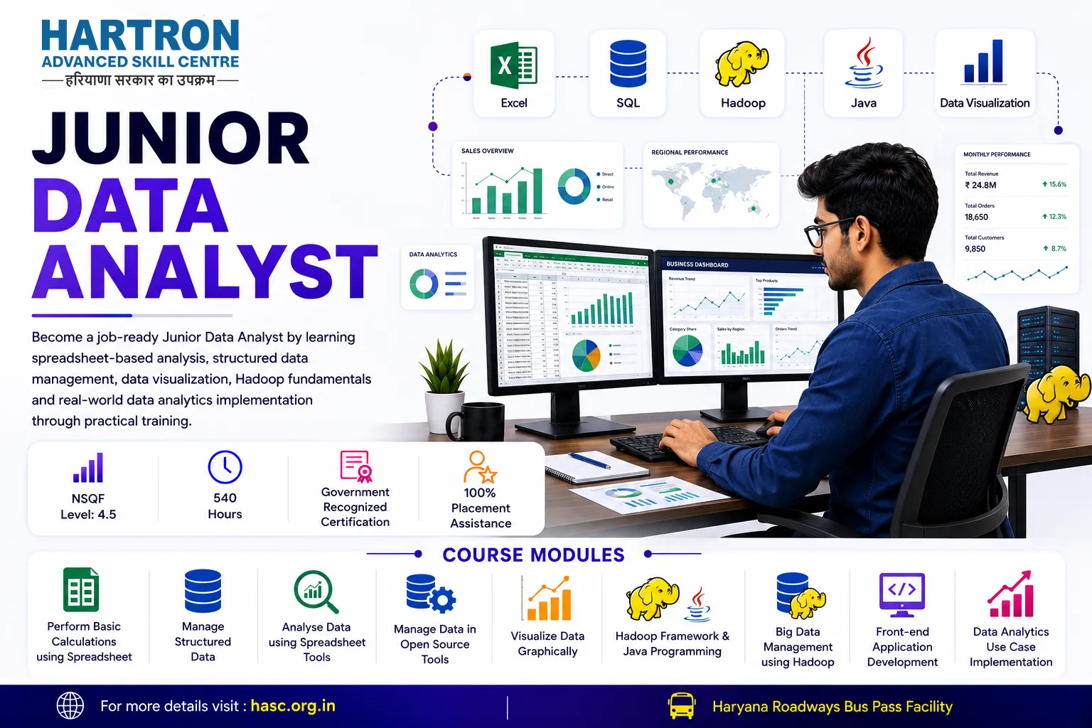 Junior Data Analyst